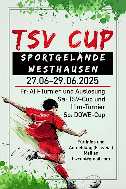 TSV Cup Freizeitturnier