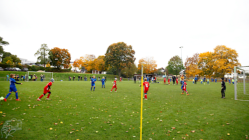 E-Jugend-Spieltag in Westhausen – Fußball und gute Stimmung